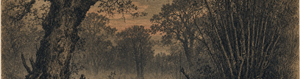 Lykos and the Hollow Wood