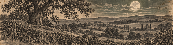 The Century Walk of the Green Man