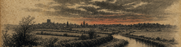 The Fox Who Outwitted the Court