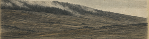 The Silence of the Stillhart
