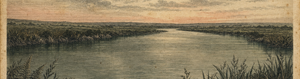 The Taniwha's Long Watch