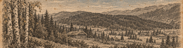 The Woman Who Turns Away