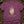 Reader Of Omens — berry