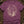 The Lantern Man — berry (WS_mockup1b 2)