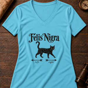 Black Cat Crossing Women's V-Neck Tee — turquoise
