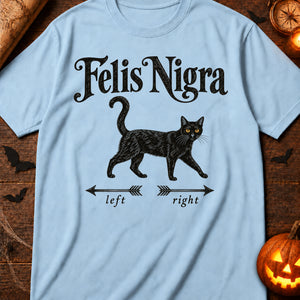 Black Cat Crossing — chambray