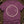 Salt Circle Ward — berry (WS_mockup1b 2)