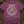 Serpent Apophis — berry (WS_mockup1b 2)