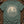 Charon's Obol — blue spruce