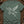 Pegasus Constellation — blue spruce