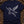 Pegasus Constellation — true navy