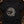 The Salamander — black (WS_mockup1 3)