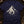 Entry Recorded, Return Unconfirmed — true navy