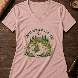 The Sleeping Giant Women's V-Neck Tee — heather peach