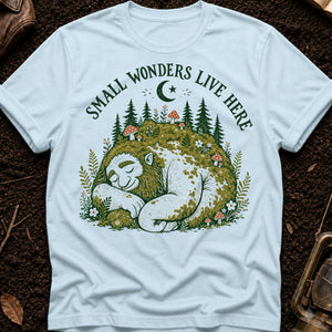 The Sleeping Giant — chambray (WS_mockup1 5)