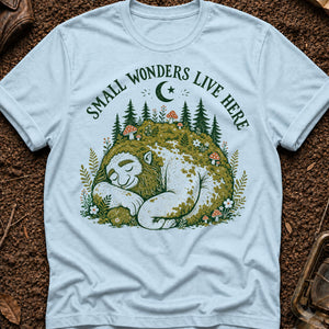 The Sleeping Giant — chambray (WS_mockup1b 6)