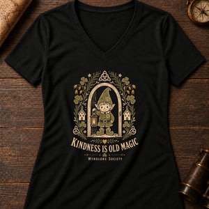 The Helpful Hearth Spirit Women's V-Neck Tee — solid black blend