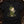Grove Guardian — black (WS_mockup1 1)