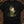 Grove Guardian — black (WS_mockup1b 2)