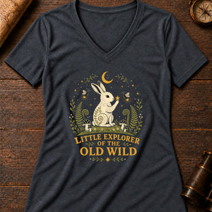 Little Moon Hare Women's V-Neck Tee — dark grey heather