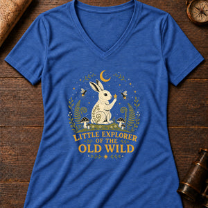 Little Moon Hare Women's V-Neck Tee — heather true royal