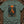 The Wild Fox's Path — blue spruce (WS_mockup1b 4)