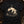The Selkie's Rest — black (WS_mockup1 3)