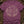 The Mouras — berry (WS_mockup1b 2)