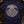 The Wyrm — true navy (WS_mockup1 11)
