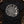 Ancient Ammonite Spiral — black (WS_mockup1 3)