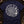 Ancient Ammonite Spiral — true navy (WS_mockup1 11)