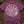 Ancient Ammonite Spiral — berry (WS_mockup1b 2)