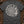 Ancient Ammonite Spiral — pepper (WS_mockup1b 10)
