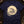 Lunar Toad — true navy (WS_mockup1 13)