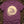 Lunar Toad — berry (WS_mockup1b 2)