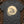 Lunar Toad — pepper (WS_mockup1b 10)