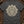 Foliate Head — pepper (WS_mockup1b 10)