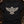 Thunderbird Crest — black (WS_mockup1 3)