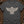 Thunderbird Crest — pepper (WS_mockup1b 12)