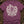 The Dagda's Harp — berry (WS_mockup1b 2)