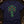 The Holly Bough — true navy (WS_mockup1 13)