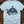 The World Turtle — chambray